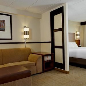 King Room Sofa Bed Accessible Tub Disability Access